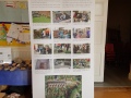 Banner for the  the archaeology digs in Hyde Gardens - Hyde 900's Annual Exhibition in Hyde Village Hall (2016)